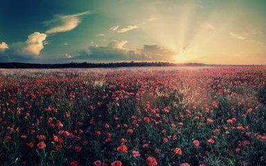 �x��y���C��Ҫ��ʲô